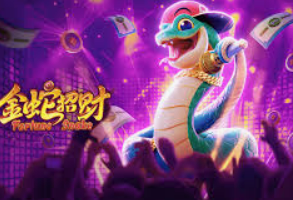 pg入口2024最新版